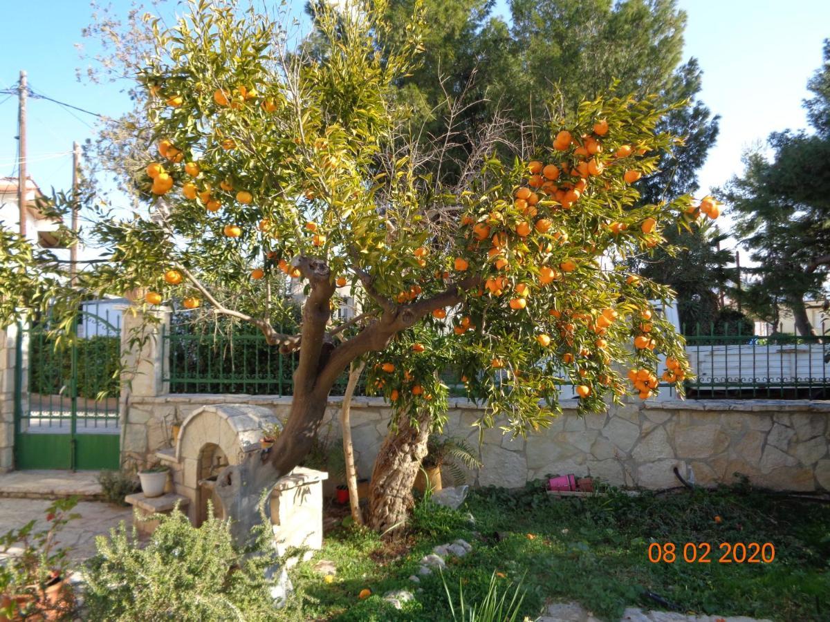 Traditional Guesthouse Asimakis Anifion Екстериор снимка