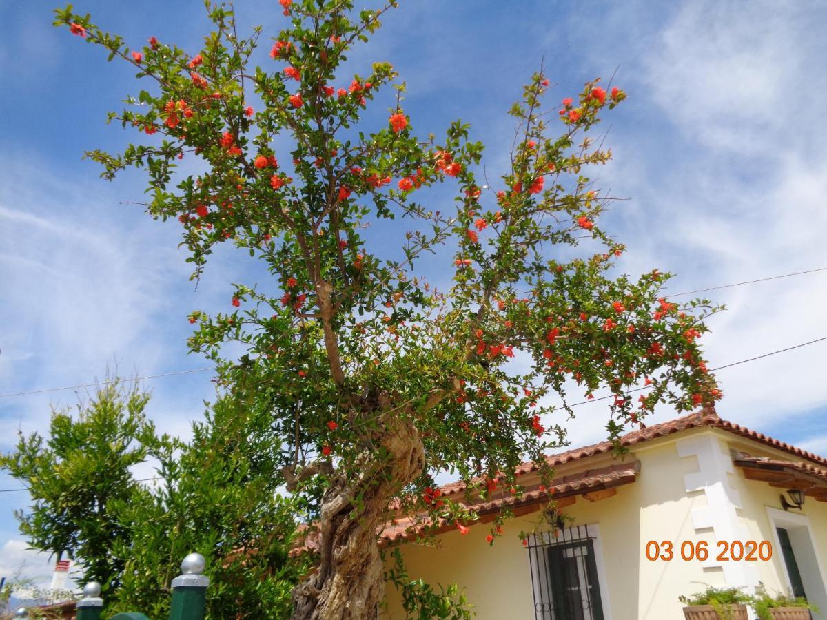 Traditional Guesthouse Asimakis Anifion Екстериор снимка